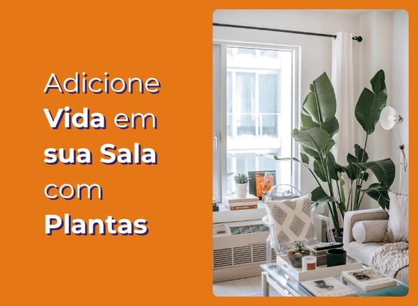 Adicione Vida em sua Sala com Plantas