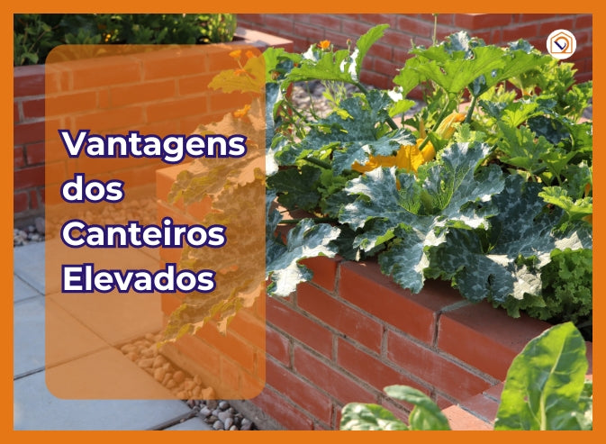 Vantagens dos Canteiros Elevados